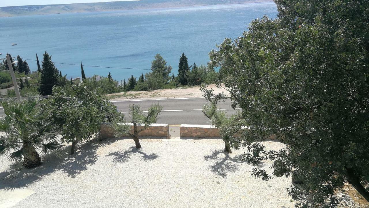 סטאריגרד-פקלניצה Apartmani Goga מראה חיצוני תמונה